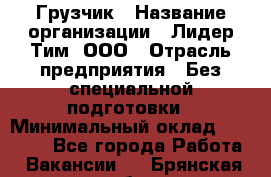 Грузчик › Название организации ­ Лидер Тим, ООО › Отрасль предприятия ­ Без специальной подготовки › Минимальный оклад ­ 19 000 - Все города Работа » Вакансии   . Брянская обл.